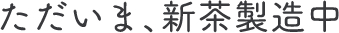 ただいま、新茶製造中