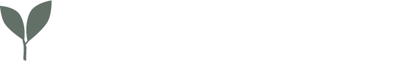 ただいま、新茶製造中ページへ