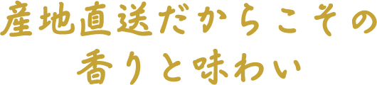 産地直送だからこその香りと味わい